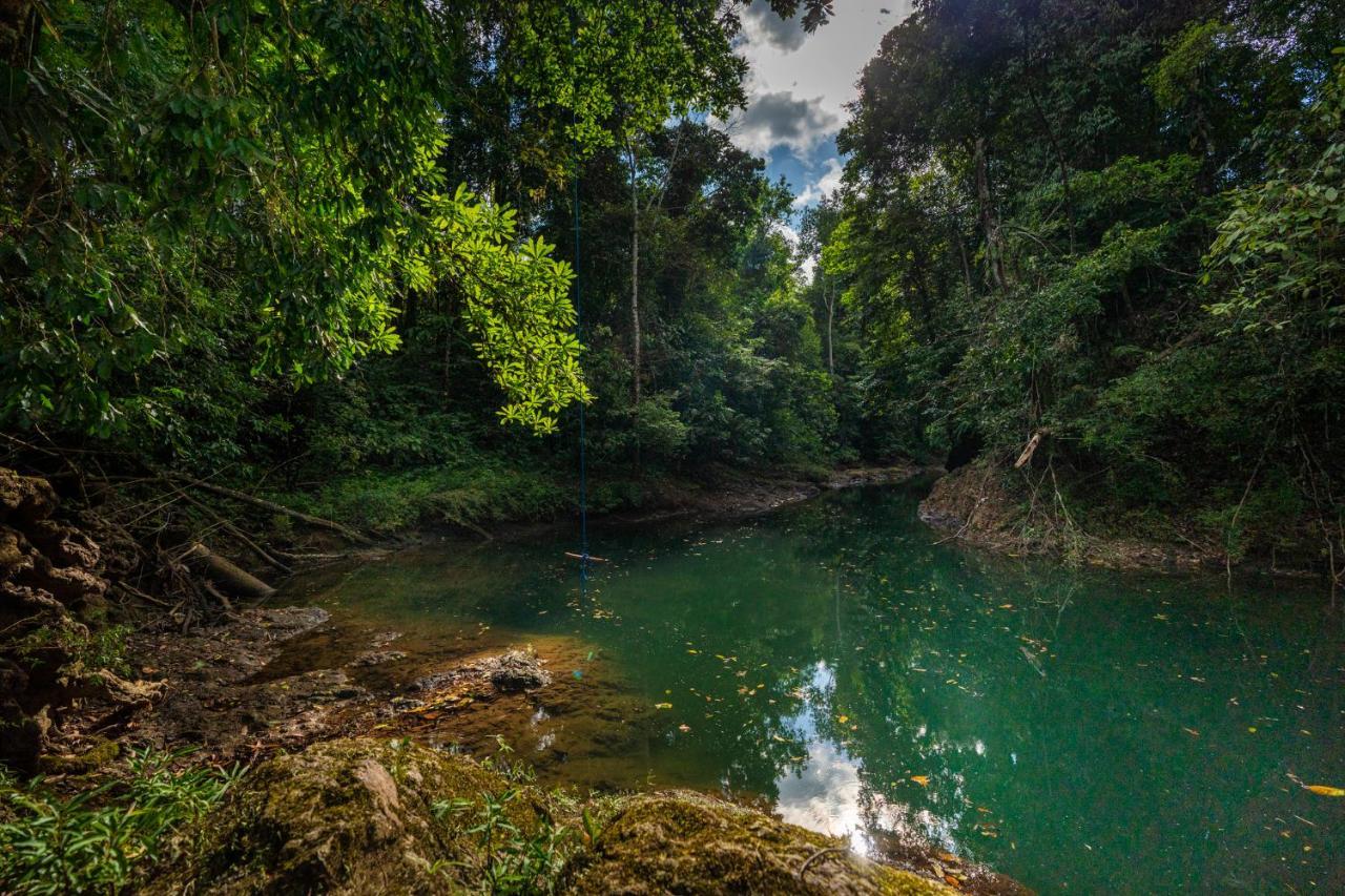 Drake Bay River View Bagian luar foto