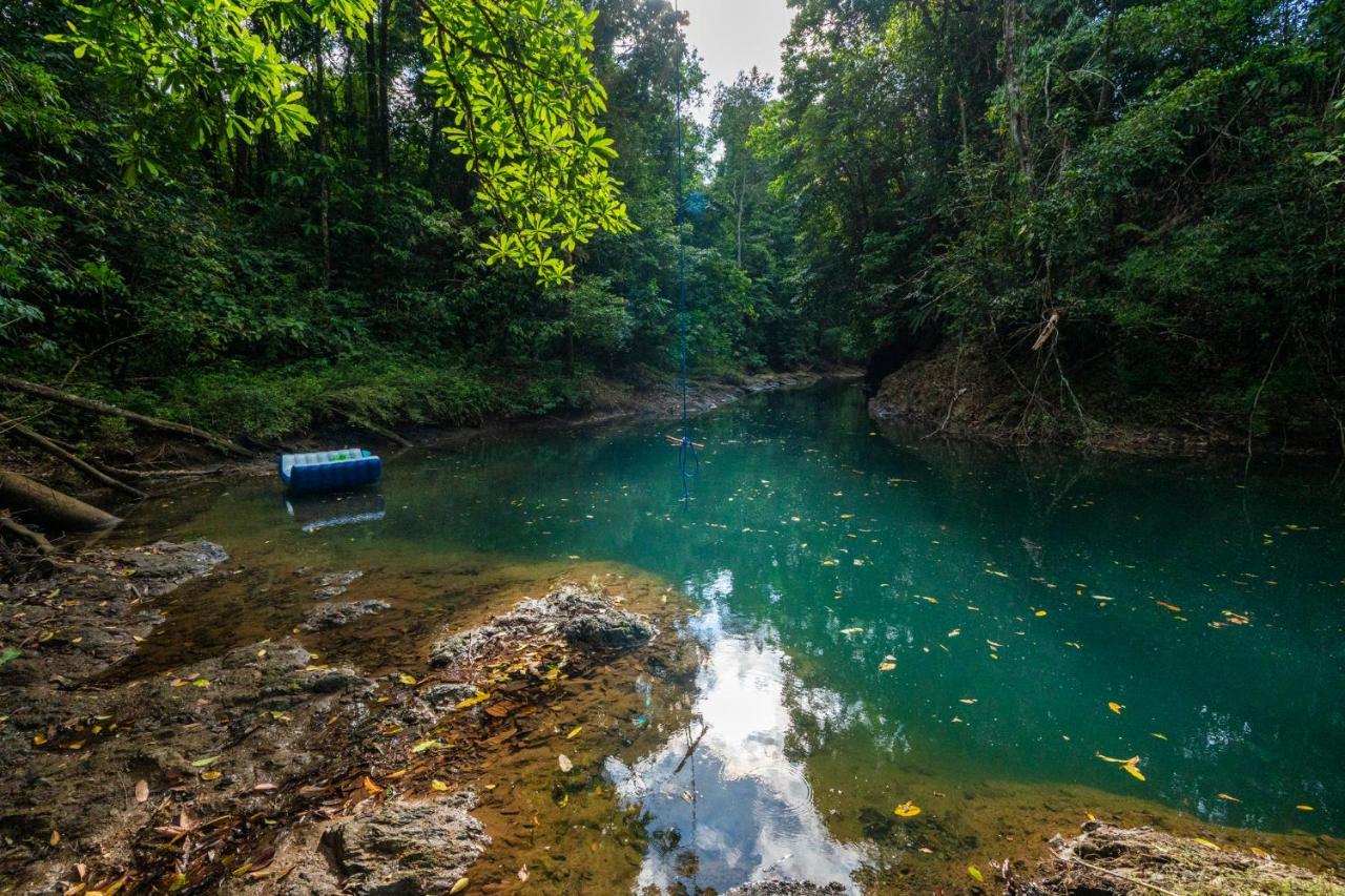 Drake Bay River View Bagian luar foto