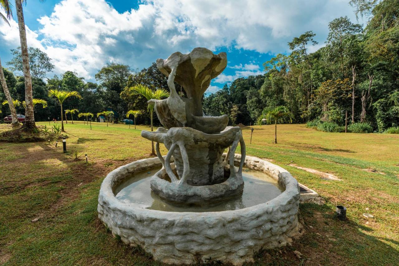 Drake Bay River View Bagian luar foto