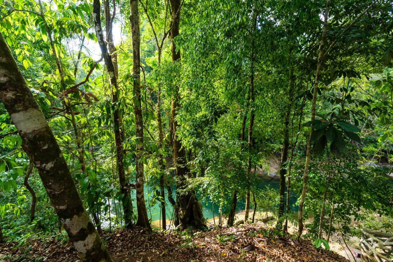 Drake Bay River View Bagian luar foto