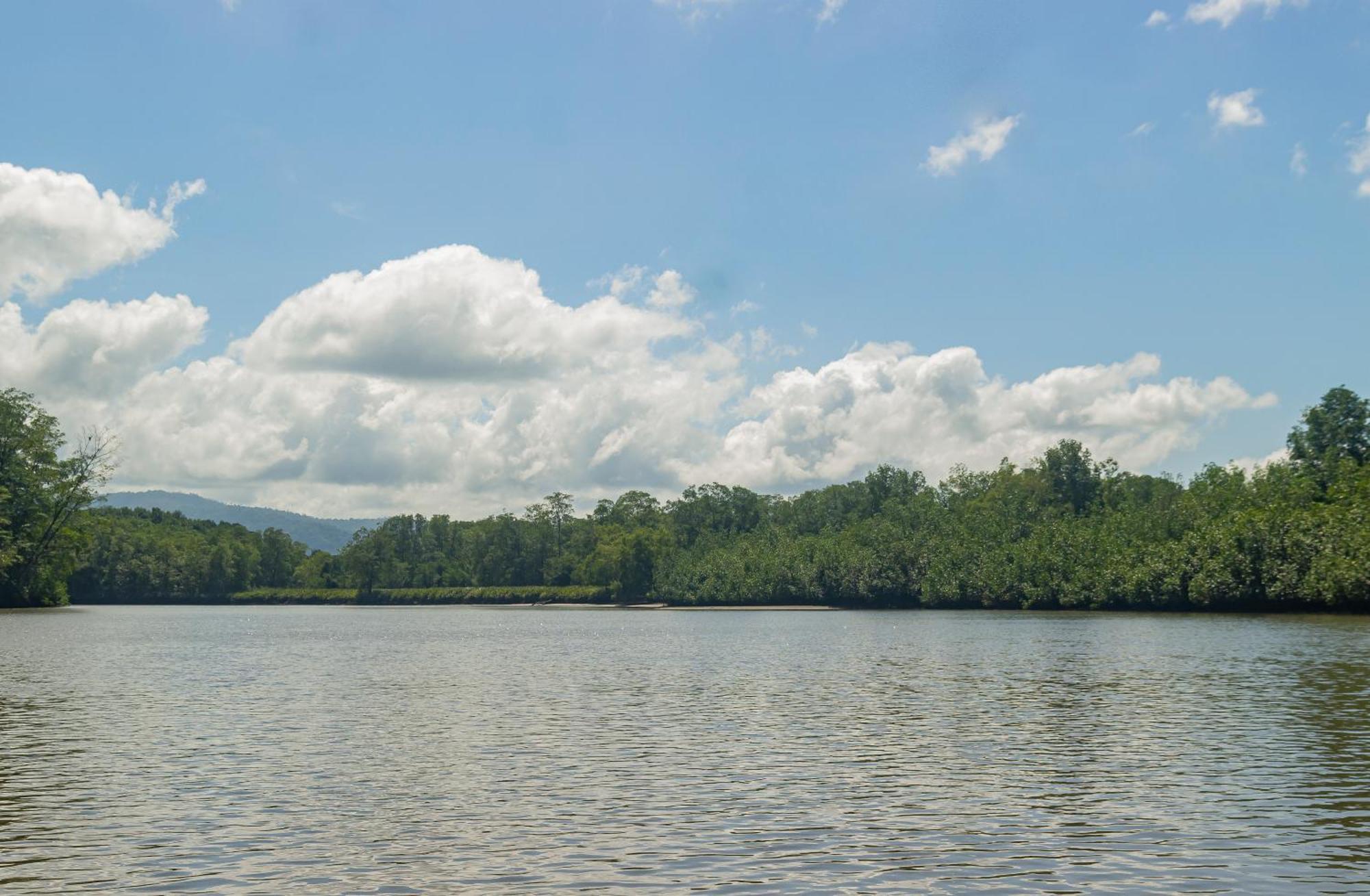 Drake Bay River View Bagian luar foto