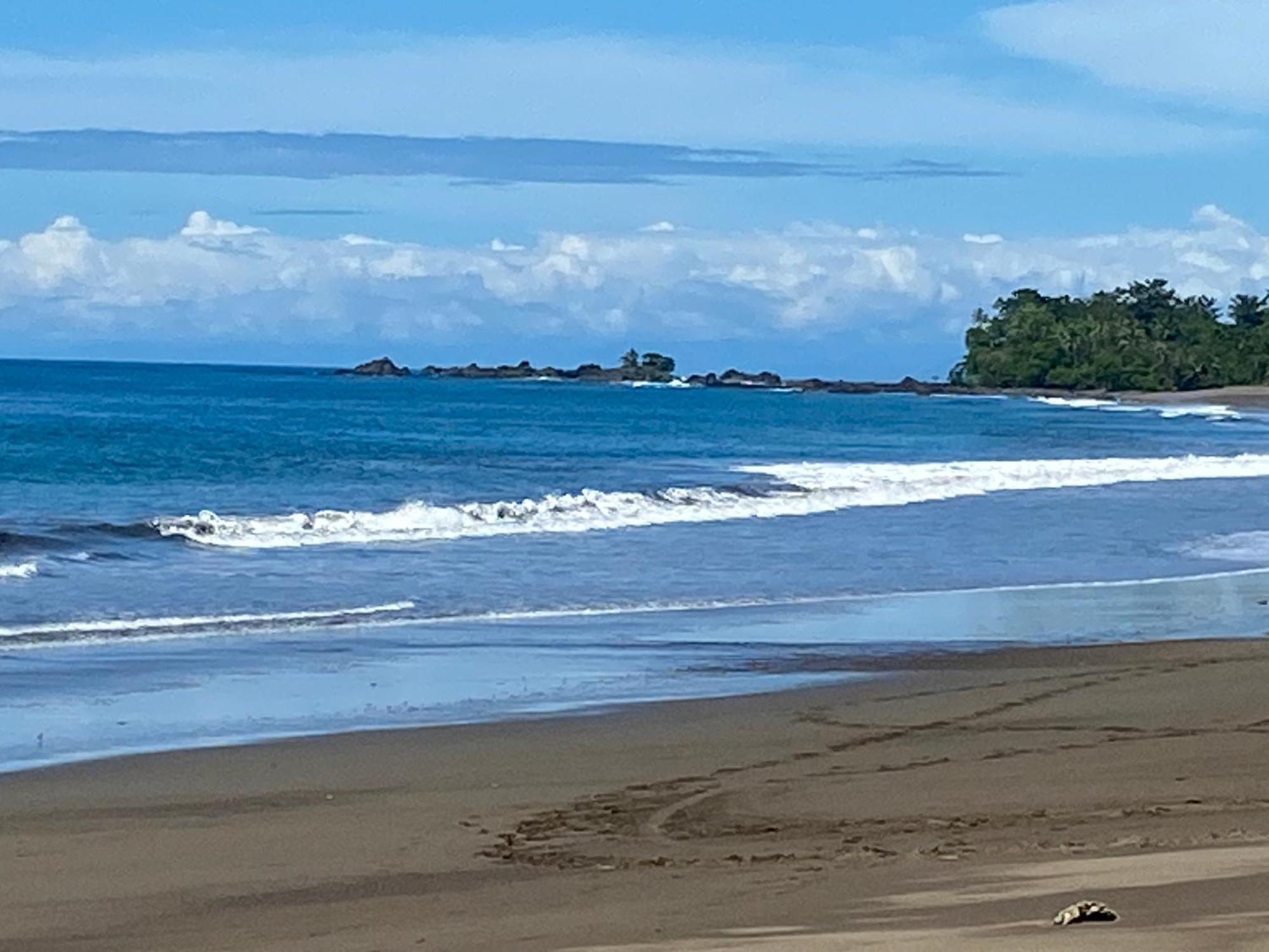 Drake Bay River View Bagian luar foto