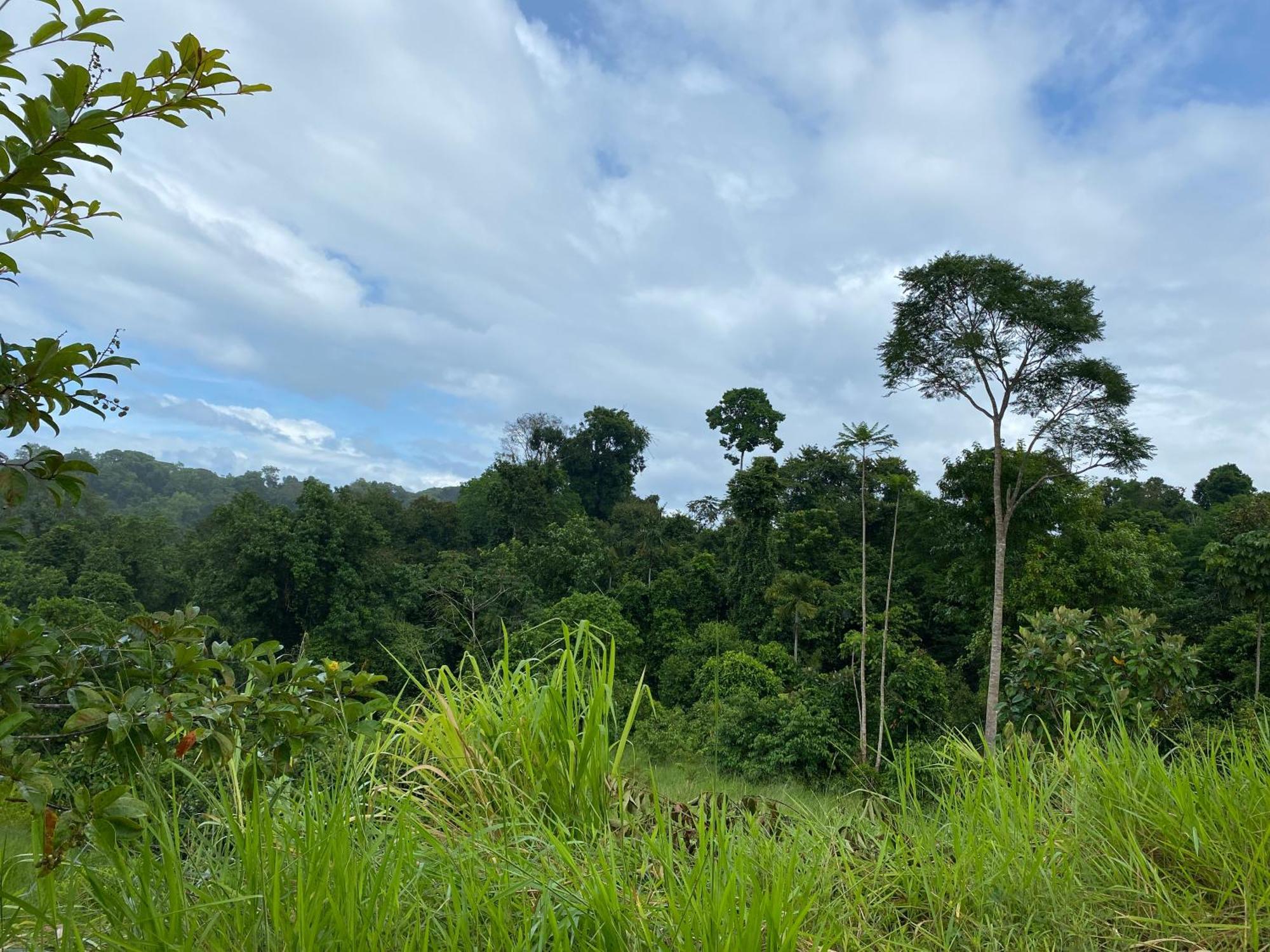 Drake Bay River View Bagian luar foto