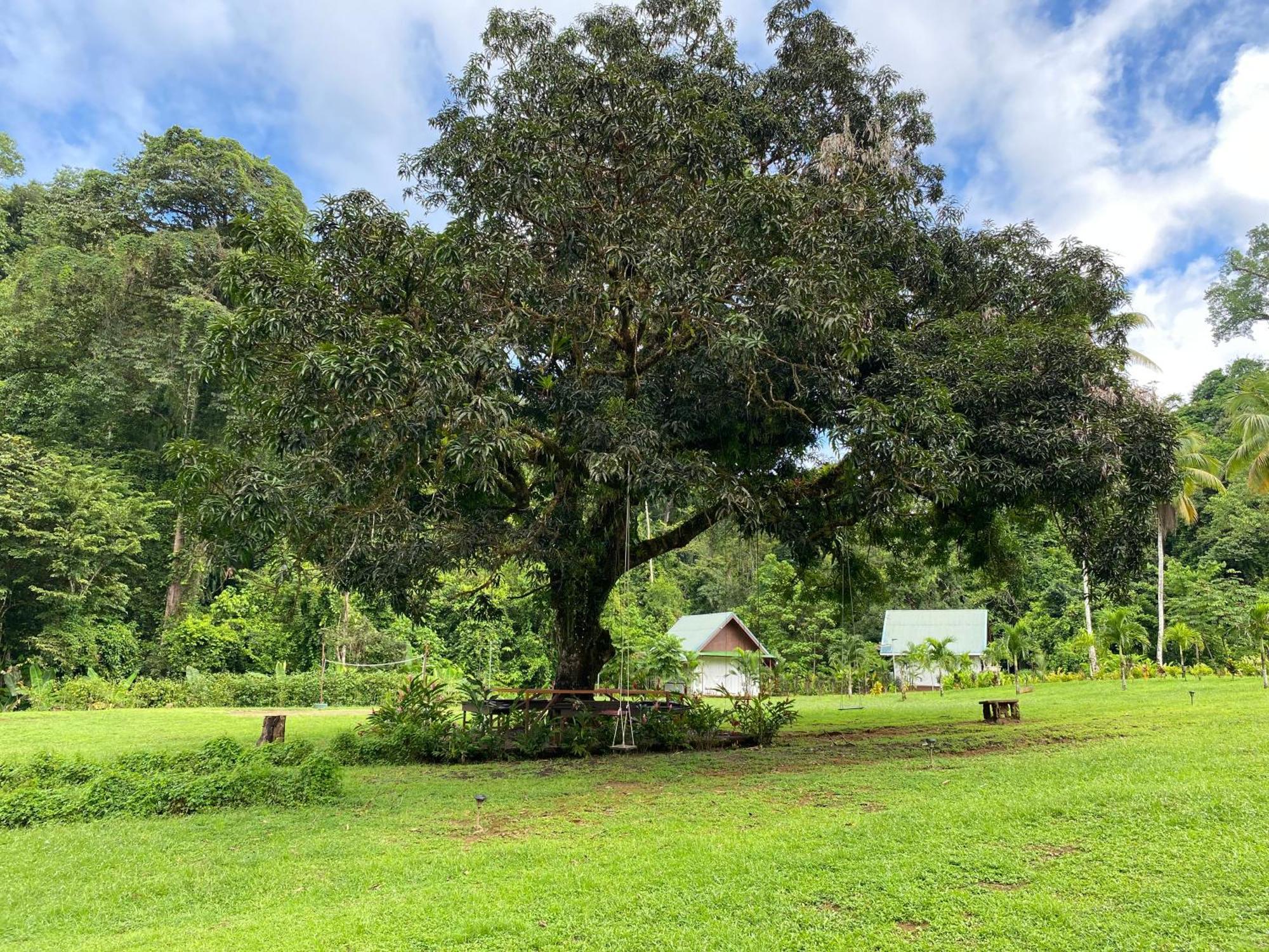 Drake Bay River View Bagian luar foto