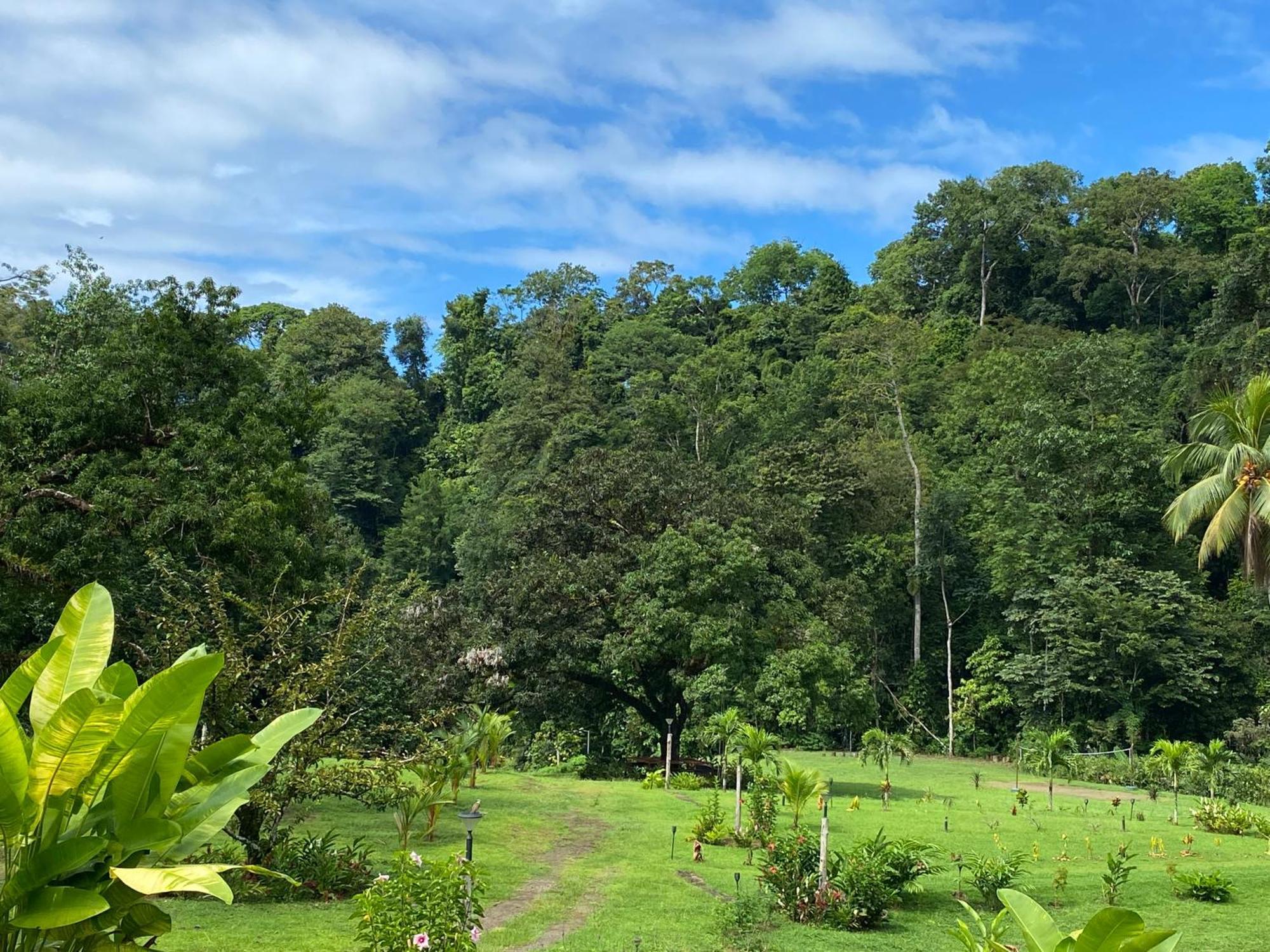 Drake Bay River View Bagian luar foto