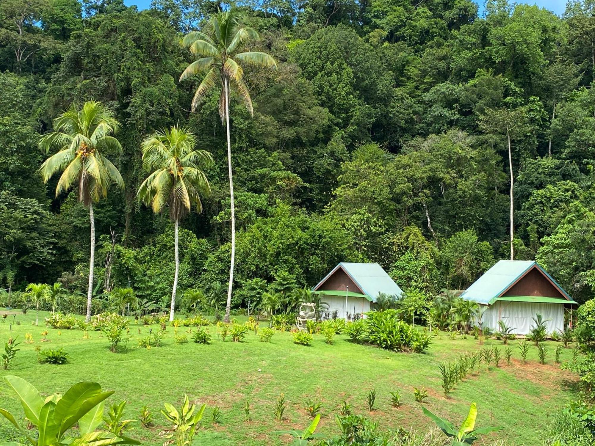 Drake Bay River View Bagian luar foto