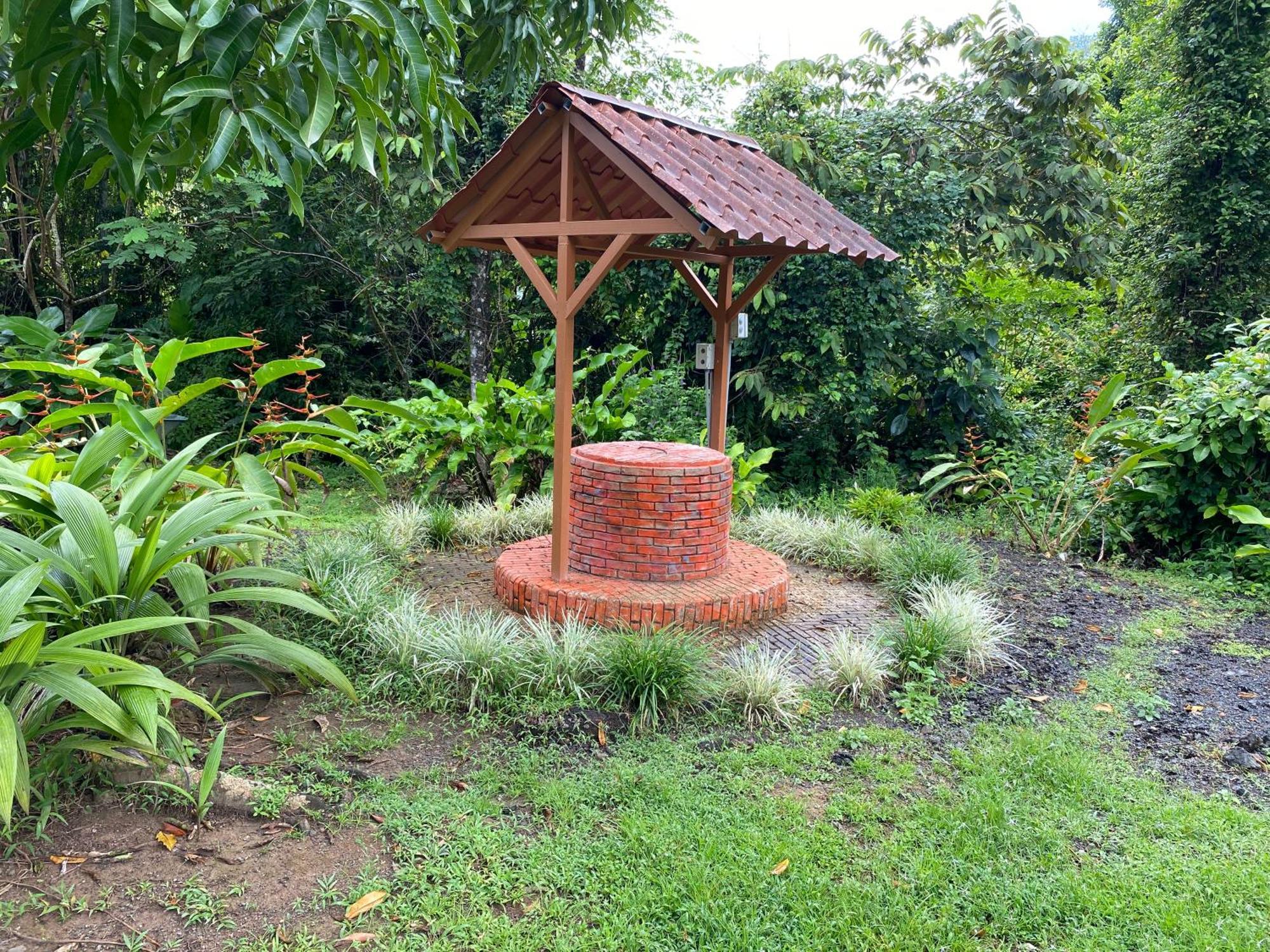 Drake Bay River View Bagian luar foto