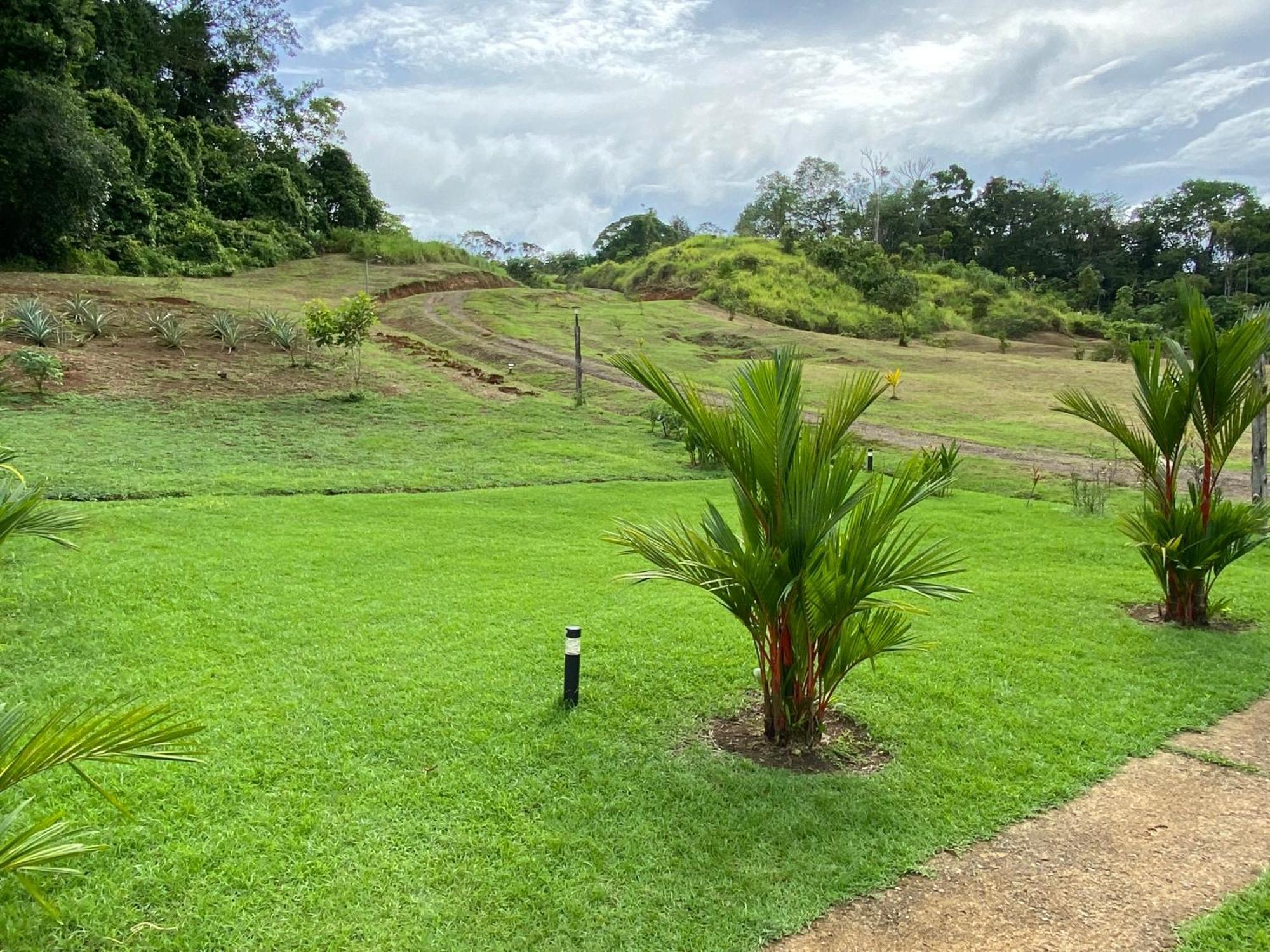 Drake Bay River View Bagian luar foto
